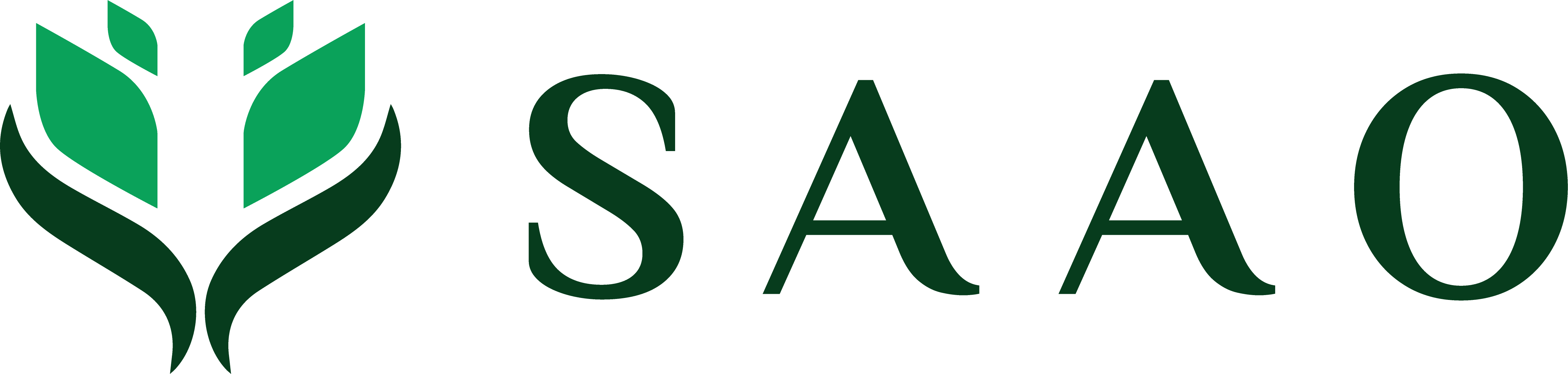 SAAO Logo